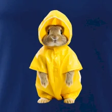 Králík v pláštěnce