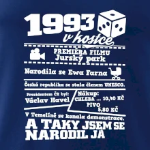 1993 v kostce