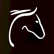 Kůň - hlava silueta