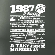 1987 v kostce