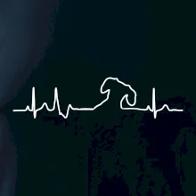 Jezevčík EKG Jezevčík EKG