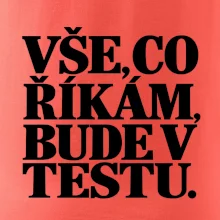 Vše co říkám bude v testu