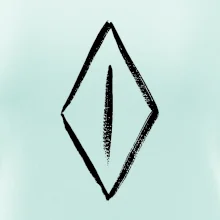 Dámské přirození hladce oholené