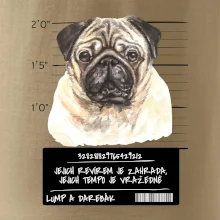 Lump a darebák mopsík Lump a darebák mopsík