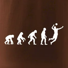 Evoluce volejbal smeč