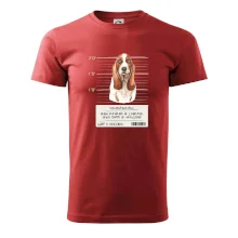 Baset - lump a darebák