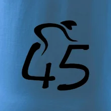 Cyklista slaví pětačtyřicítku (45)