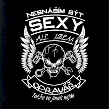 Nesnáším být sexy - opravář