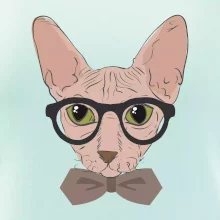 Hipster sphynx