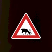 Dopravní značka - Pozor los