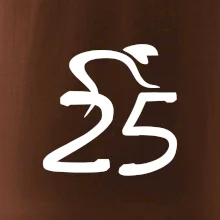 Cyklista slaví pětadvacítku (25)