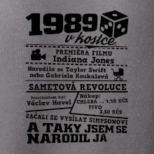 1989 v kostce