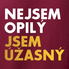 Nejsem opilý jsem úžasný