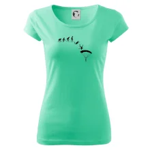 Evoluce parašutista seskok