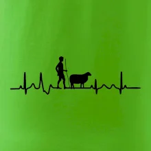 Ekg pastevec ovcí