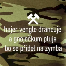 Hajer vengle drancuje a gnojočkum pluje bo se přidoł na zymba