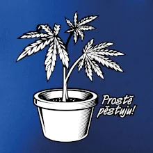 Konopi prostě pěstuju