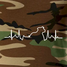 Stafordšírsky bulteriér EKG