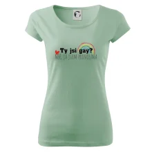 Gay princezna Gay princezna