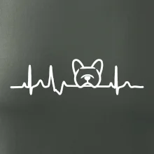 EKG Francouzský buldoček hlava