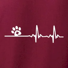 Veterinář EKG