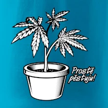 Konopi prostě pěstuju