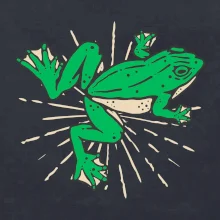 Žába zelená kreslená