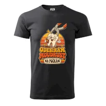 Odebírám moudrost na počkání