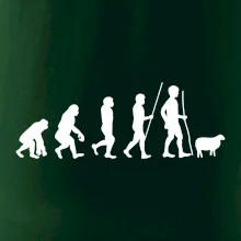 Evoluce pastevec ovcí