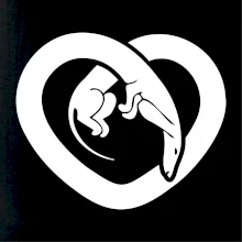 Jezevčík srdce - plný