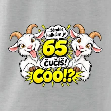 Těmhle holkám je 65, čučíš co?