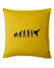 Karate Evoluce - kop