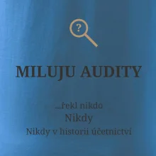 Miluju audity řekl nikdo nikdy