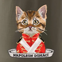 Napoleon domácí kočka
