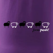 Jsem pasák - ovce v řadě