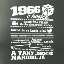 1966 v kostce