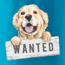 Zlatý retriever - štěně wanted