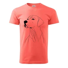 Labrador černá kresba