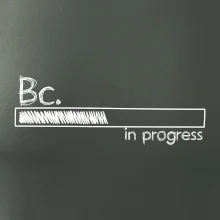 In progress  titul Bc. bakalář / bakalářka