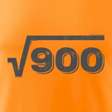 Narozeniny odmocnina 30