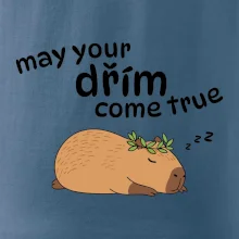 May your dřím come true