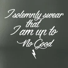 I solemnly swear that I'm up to no good