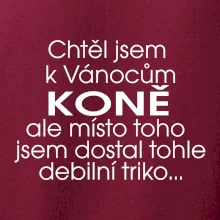 Chtěl jsem dostat k Vánocům koně