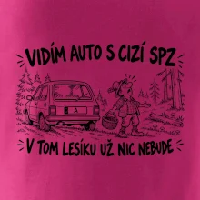 Vidím auto s cizí spz