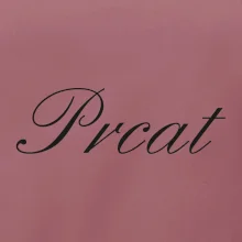 Prcat (souložit vulgárně)