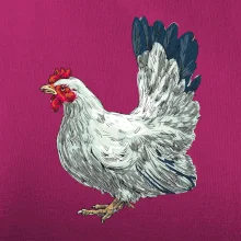 Slepice kreslená bílá