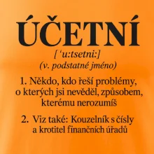 Účetní definice s humorem