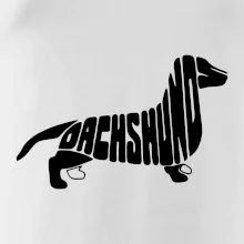 Jezevčík - Dachshund