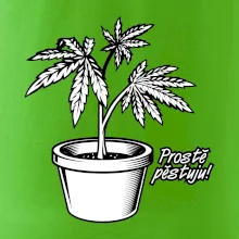 Konopi prostě pěstuju