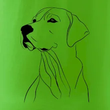 Labrador černá kresba